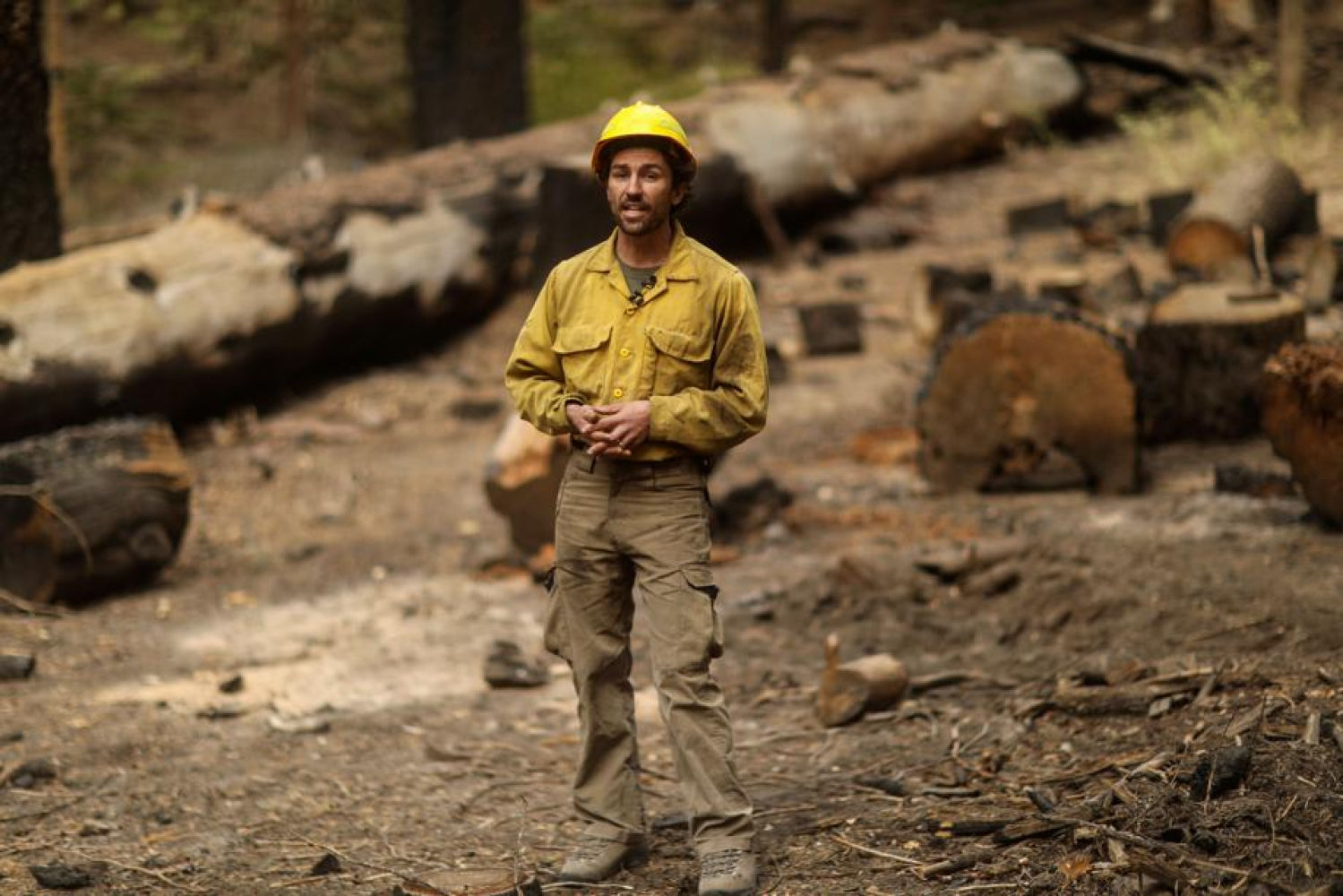 El botánico Garrett Dickman alerta de las malas condiciones del bosque: las altas temperaturas y la baja humedad se mantienen