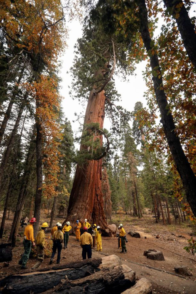 El incendio se mueve rápido y los bomberos alertan: se esperan días de lucha contra el fuego en California