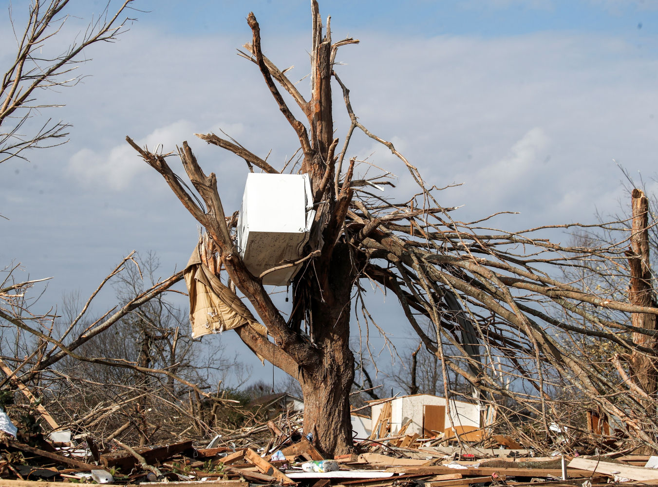 Un frigorífico en un árbol después de que fuera derribado por un tornado en Dawson Springs, Kentucky.