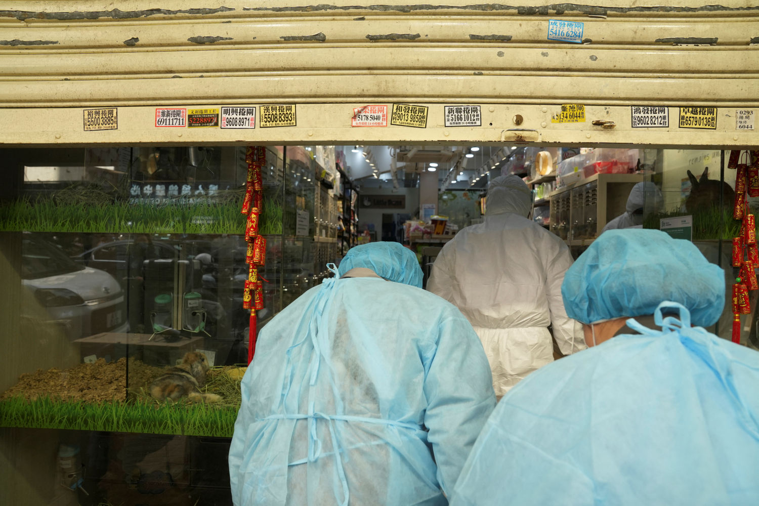Expertos con trajes protectores ingresan en una tienda de mascotas cerrada en el distrito de Mong Kok después de que se ordenara sacrificar los hámsteres para frenar el brote de la enfermedad Covid-19 en Hong Kong.