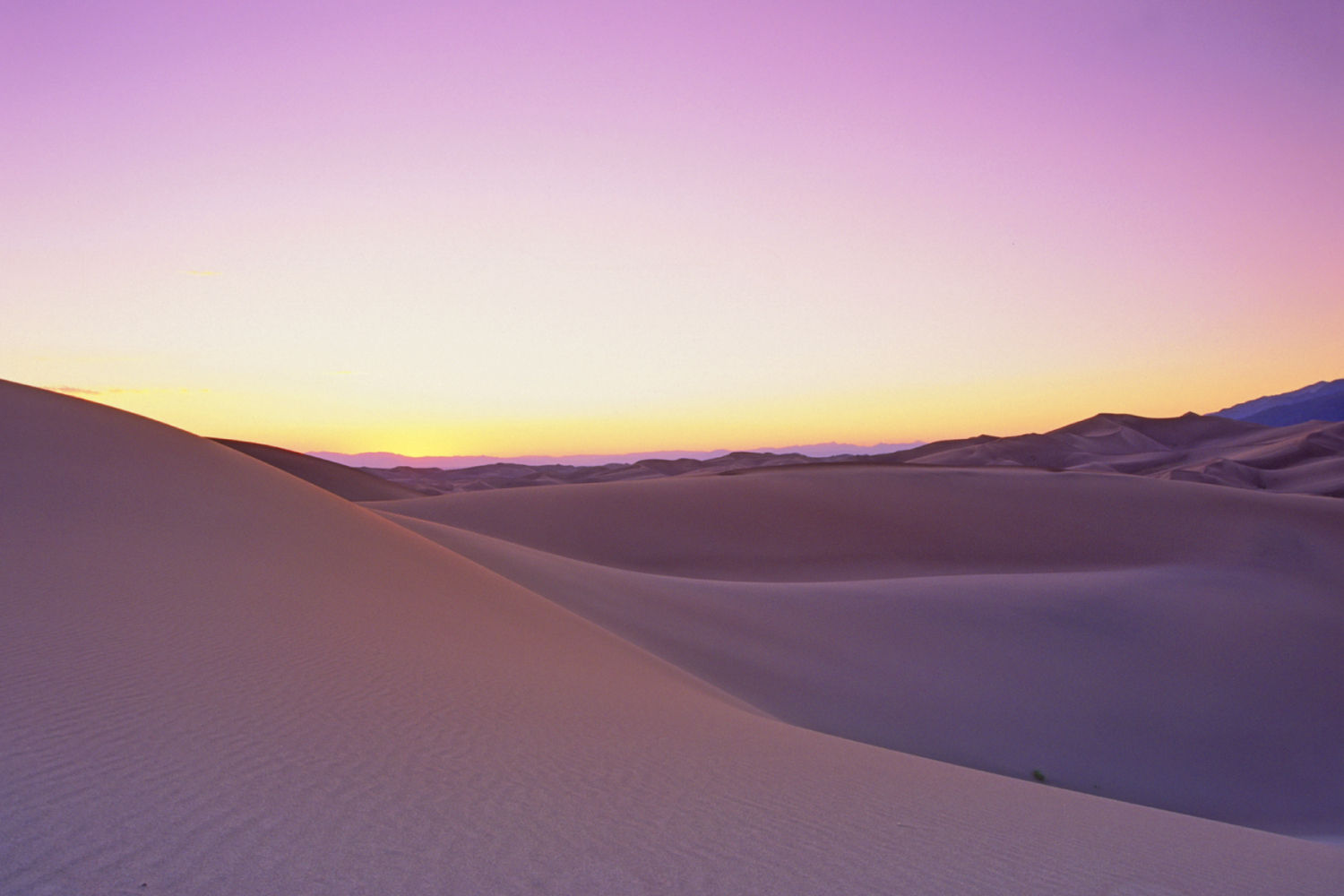 Parque nacional y reserva Grandes Dunas de Arena, Colorado (EE.UU.) Las dunas, creadas a partir de los depósitos de arena y sedimentos del Río Grande, adquieren espectaculares colores al atardecer