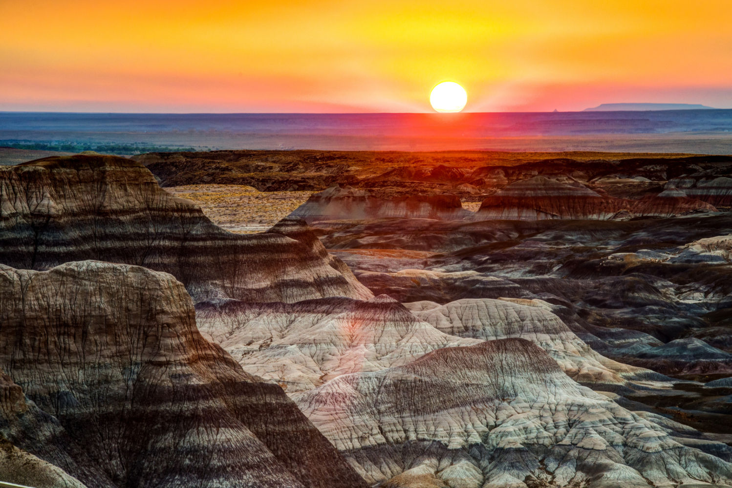 Bosque Petrificado (Arizona). El paraje, declarado monumento nacional, es el único parque nacional por el que transcurre la Ruta 66. La superficie ocupa 600 km2 al nordeste de Phoenix, cerca de Holbrook, entre los condados de indios navajos y apaches