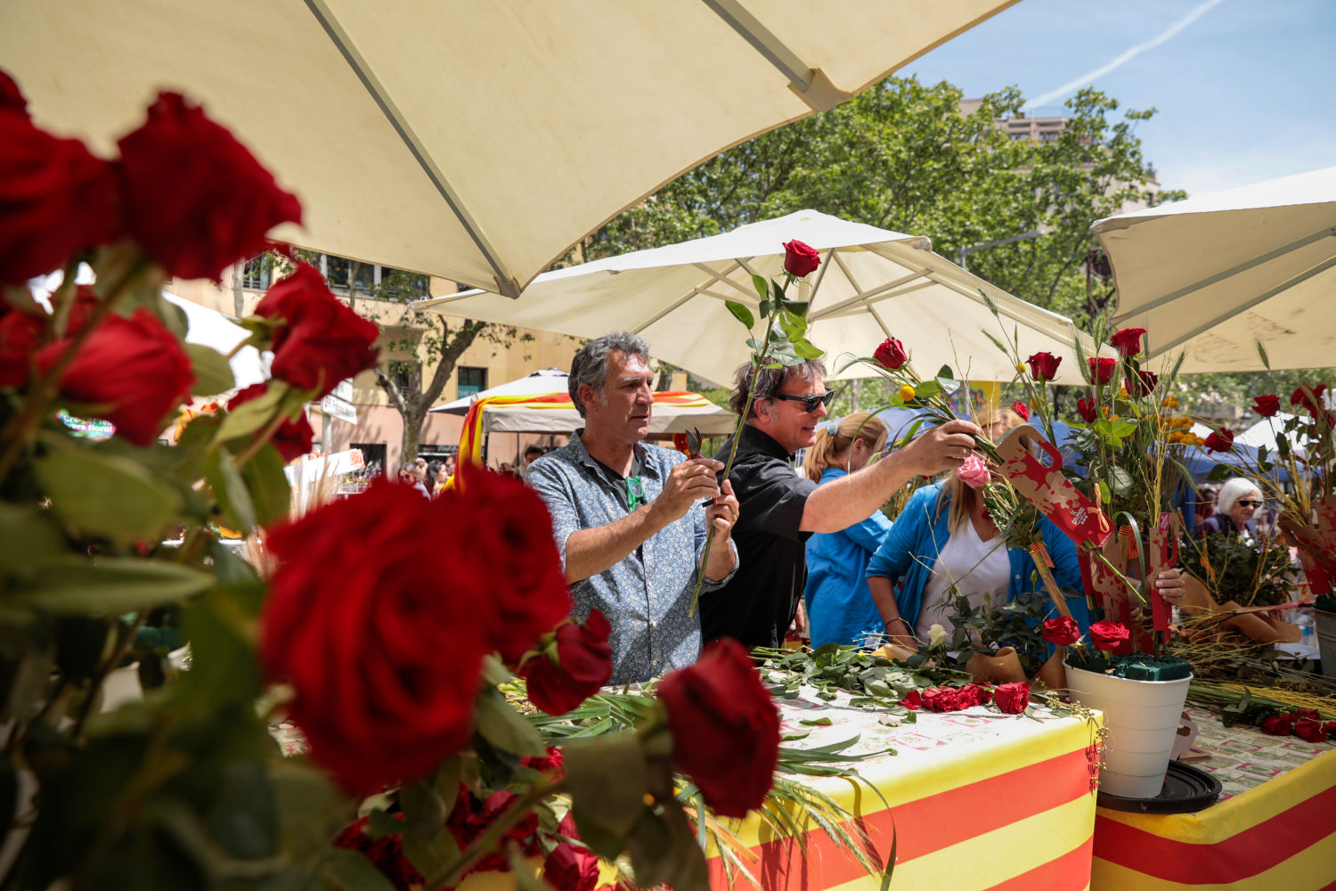 Ambiente en las calles de Barcelona de la fiesta de Sant Jordi con rosas y libros
