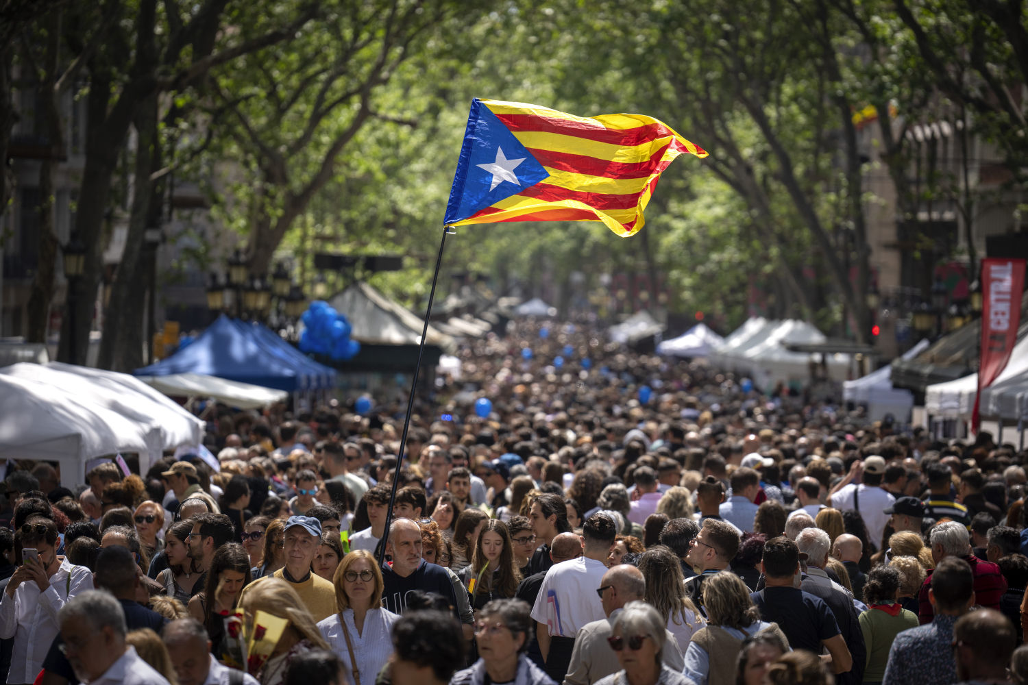 Un hombre pasea con una 'estelada' por la Rambla durante la fiesta de Sant Jordi, en Barcelona