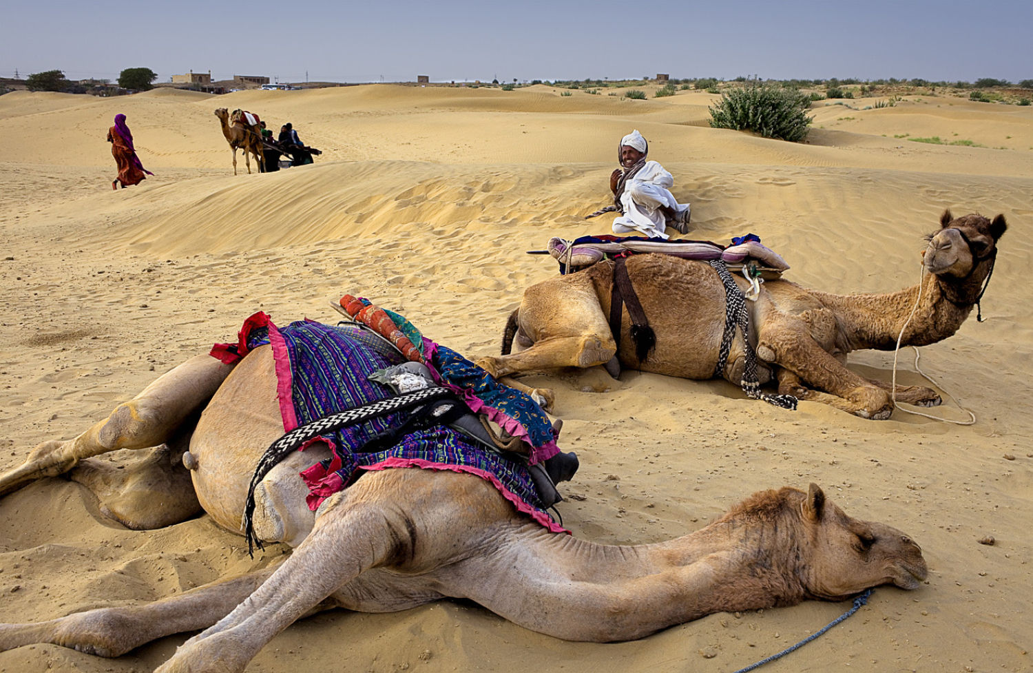 Camellero en las dunas de Sam, en el desierto del Thar