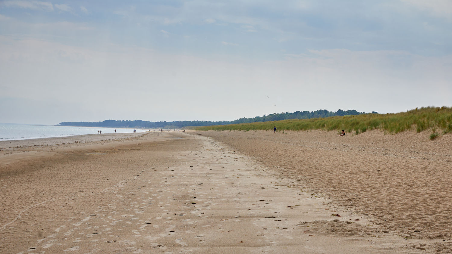 CURRACLOE (Wexford). Situada en el sureste, es un paraíso de dunas vírgenes ideal para los amantes de la naturaleza salvaje. Se extiende a lo largo de 10 km, en los que practicar deportes como surf o paddle surf. En este escenario se rodó ‘Salvar al soldado Ryan’