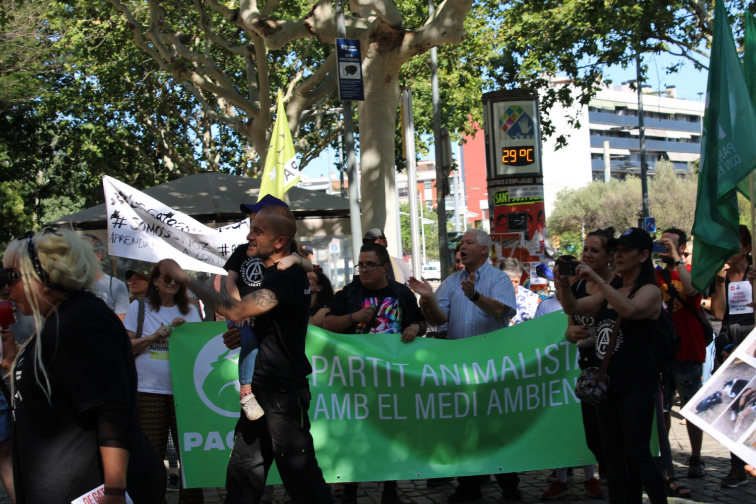 Protesta contra la actuación municipal en la colonia de gatos de Can Vidalet.