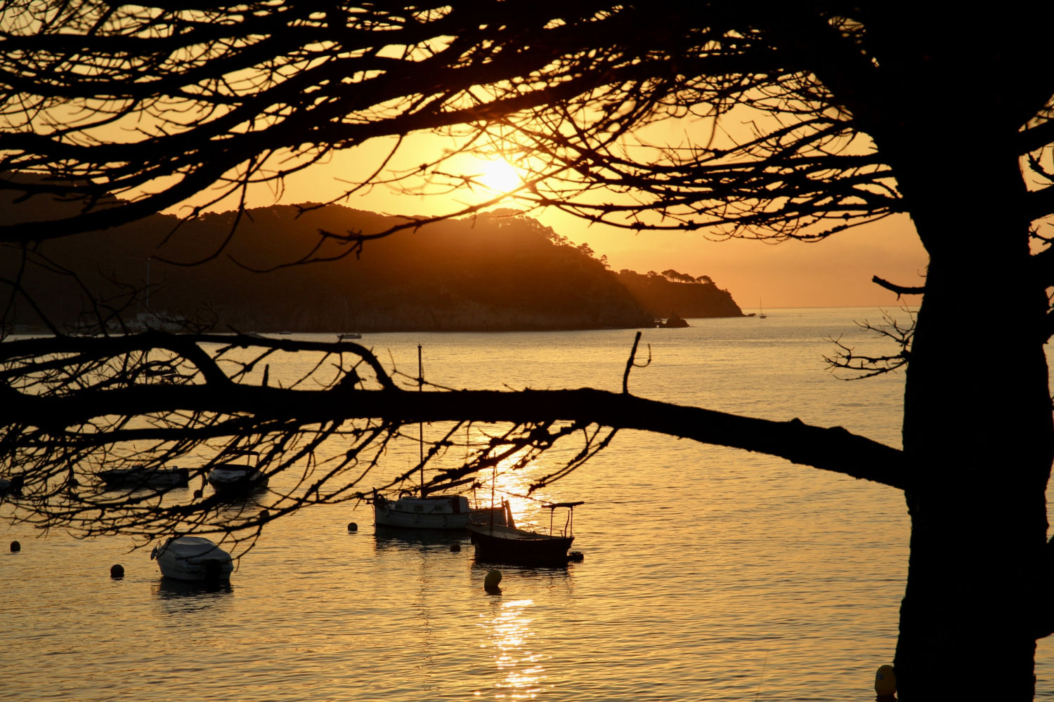 Barcos fondeados en el amanecer veraniego de Palamós.
