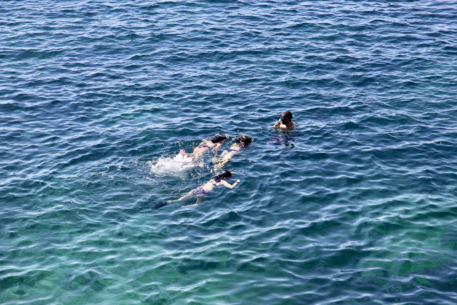 Buceando en aguas de Tamariu.