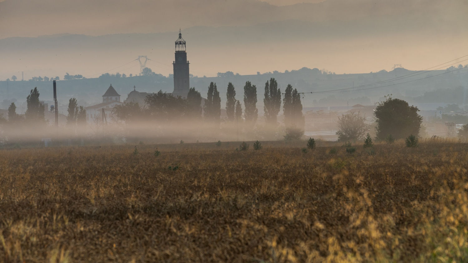 Niebla baja en un campo segado de Manlleu.