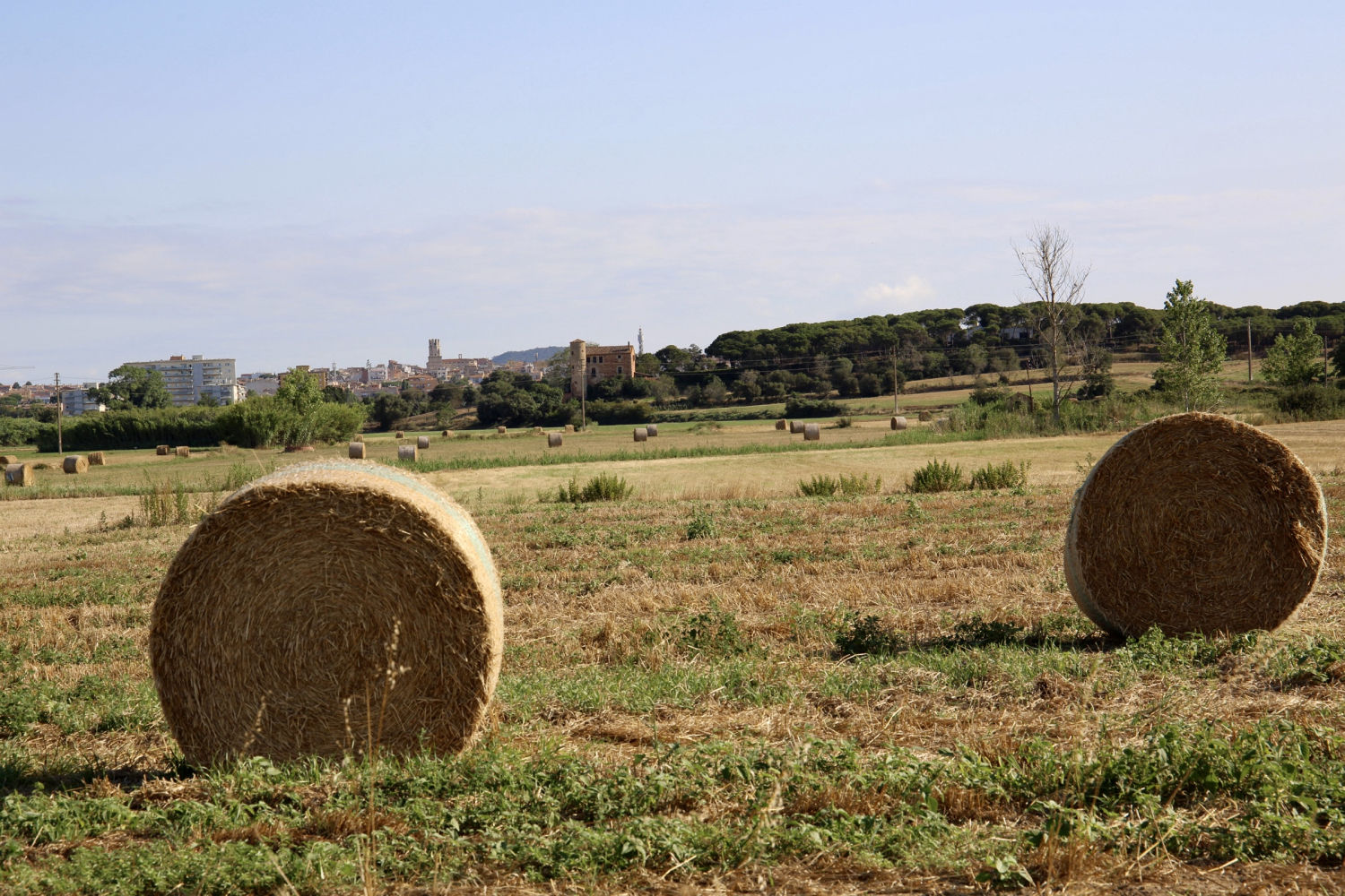 Balas de paja en Palafrugell.