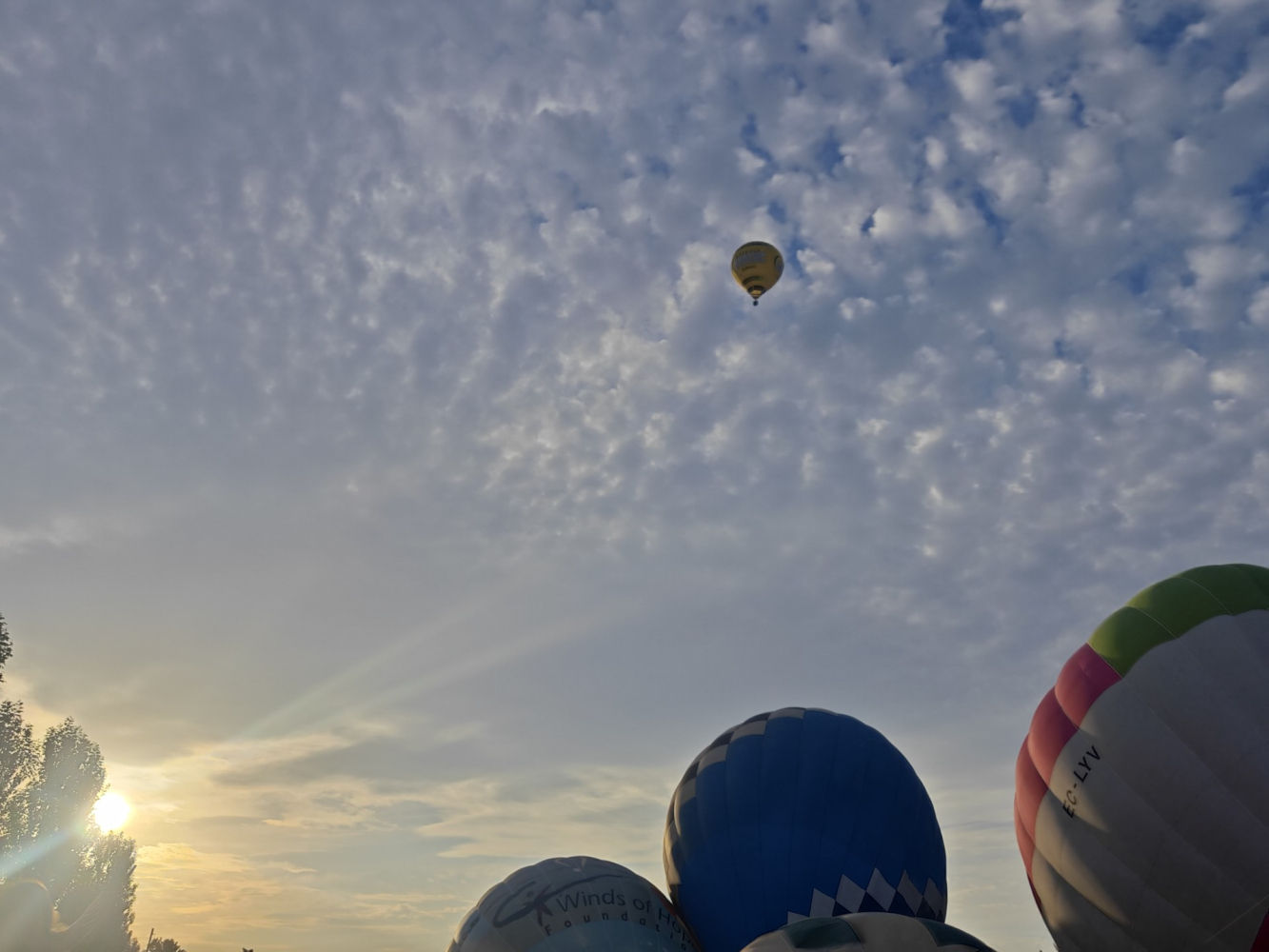 Vuelo al caer la tarde.