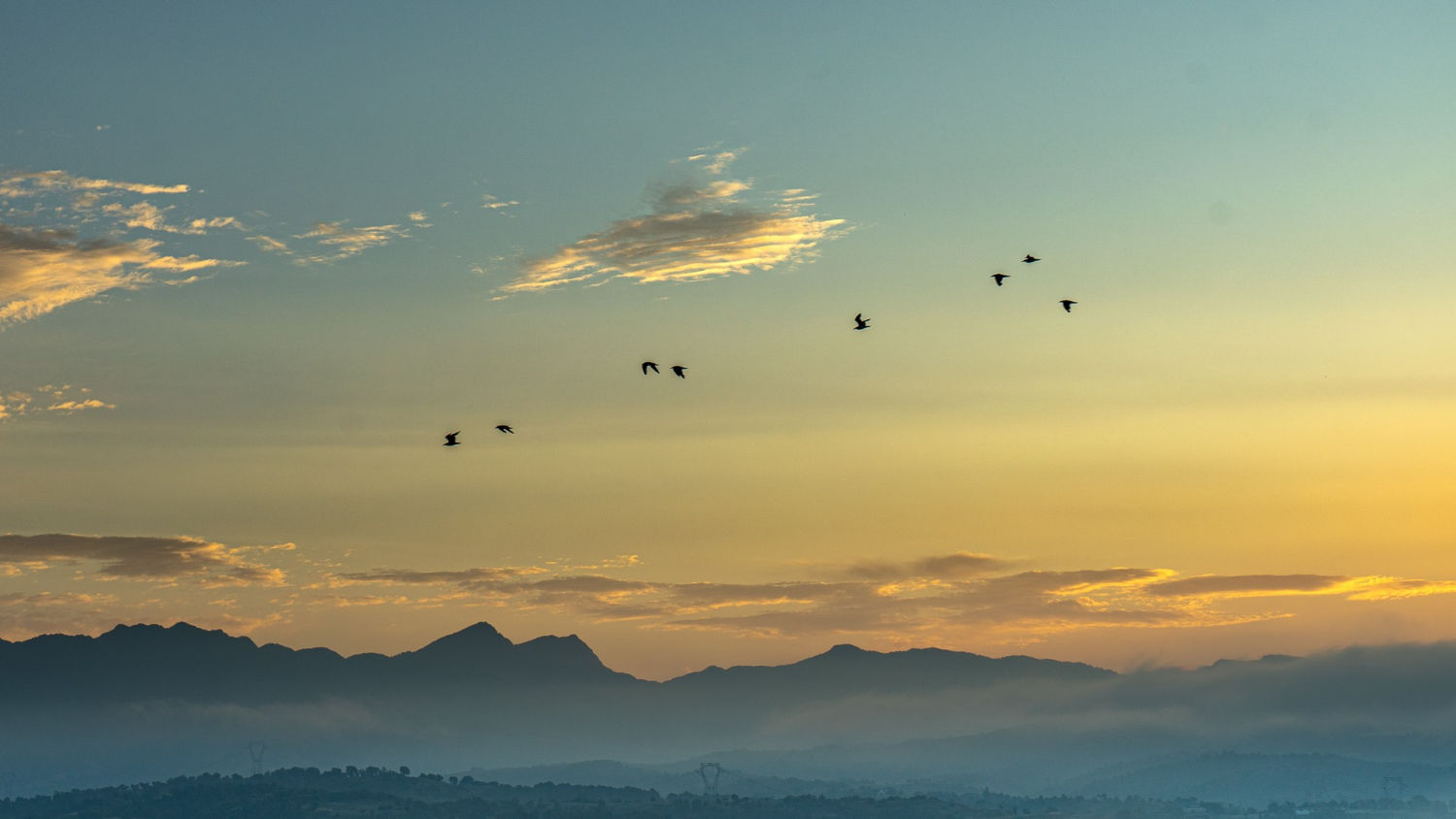 Neblina a ras de suelo en Manlleu.