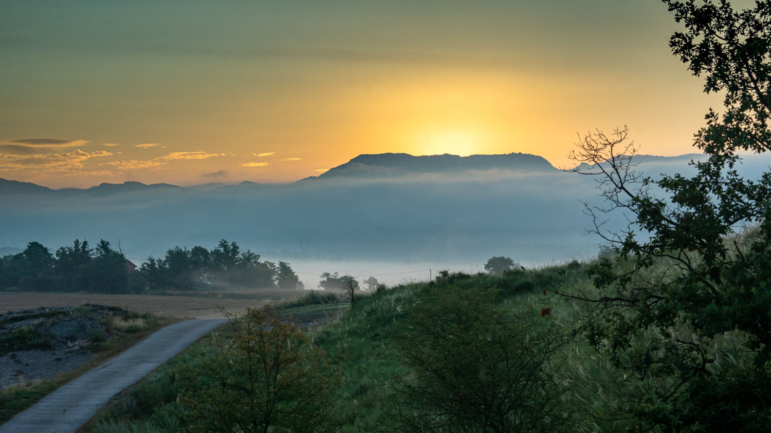 Camino a la neblina.