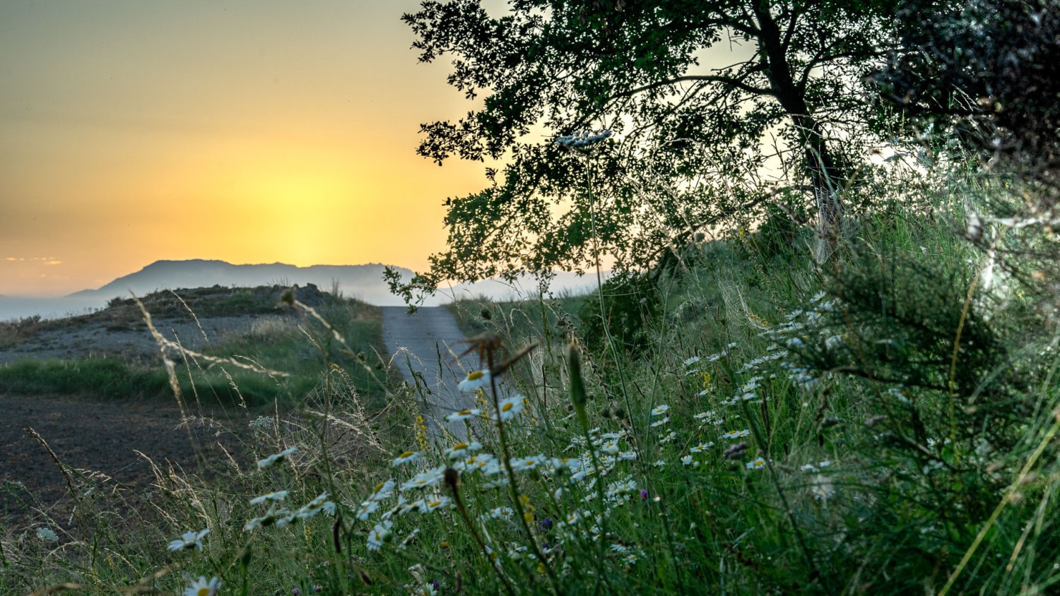 Paisaje del amanecer con neblinas al fondo.
