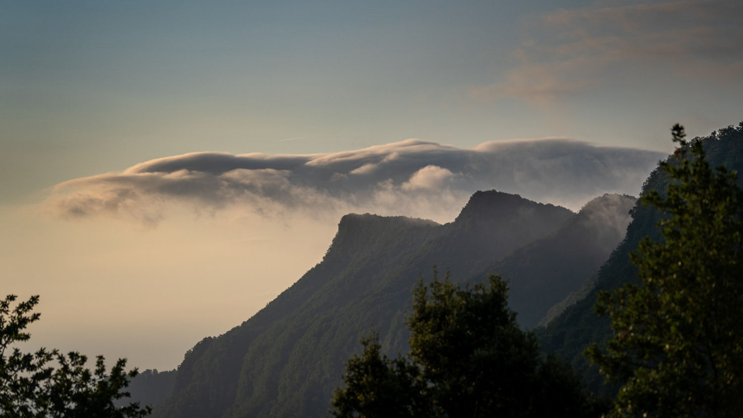 Nieblas altas en el Puigsacalm.