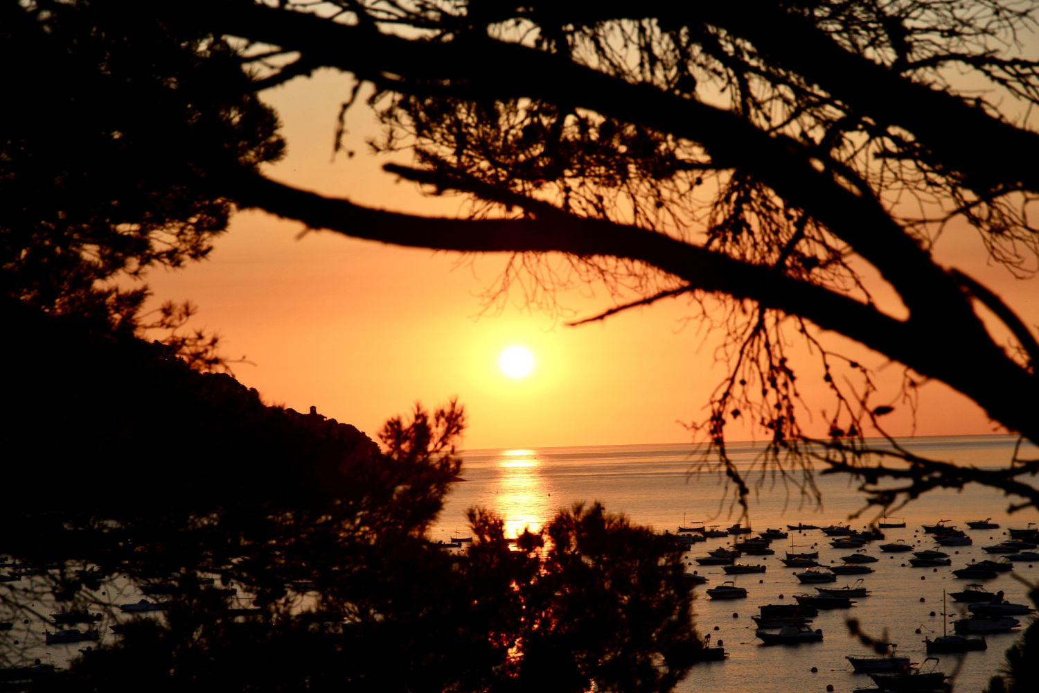 El sol luce en Calella de Palafrugell.