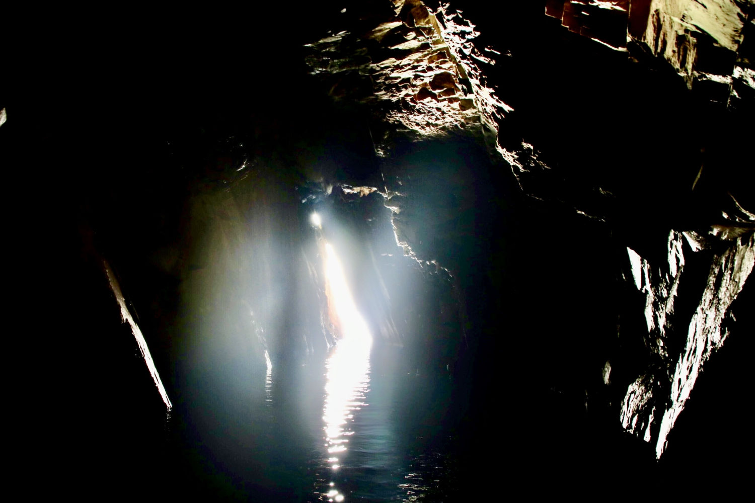 El 'Despertar' de la Cova d’en Gispert.