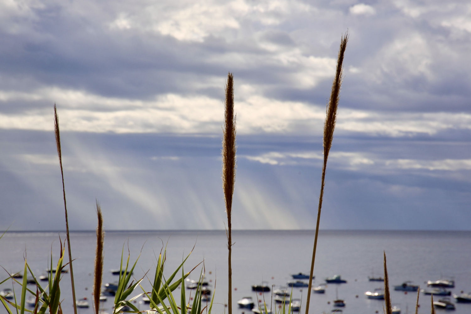 Bella tormenta en el mar en Calella de Palafrugell.