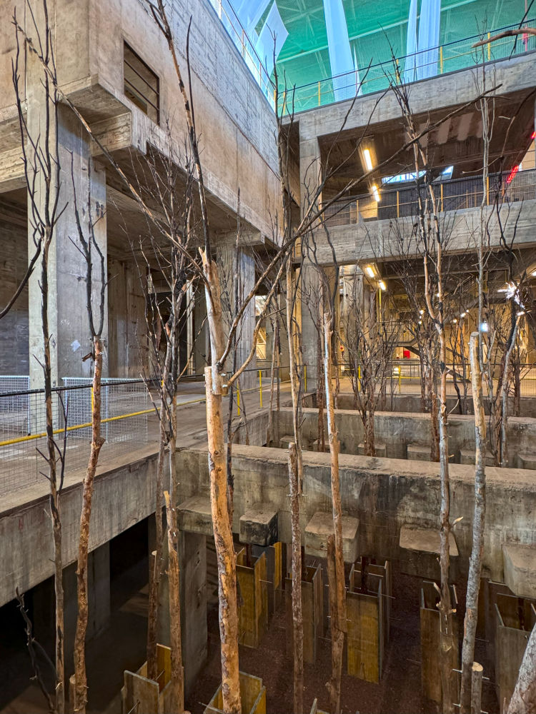 “The Frankenstein Tree” por Kiluanji Kia Henda. Instalación realizada a base de tablones de madera reciclados, ramas de árboles rotas y restos de árboles quemados en los incendios forestales que asolaron El Pont de Vilomara en 2022 y 2023. Encargo de Manifesta 15 Barcelona Metropolitana (2024).