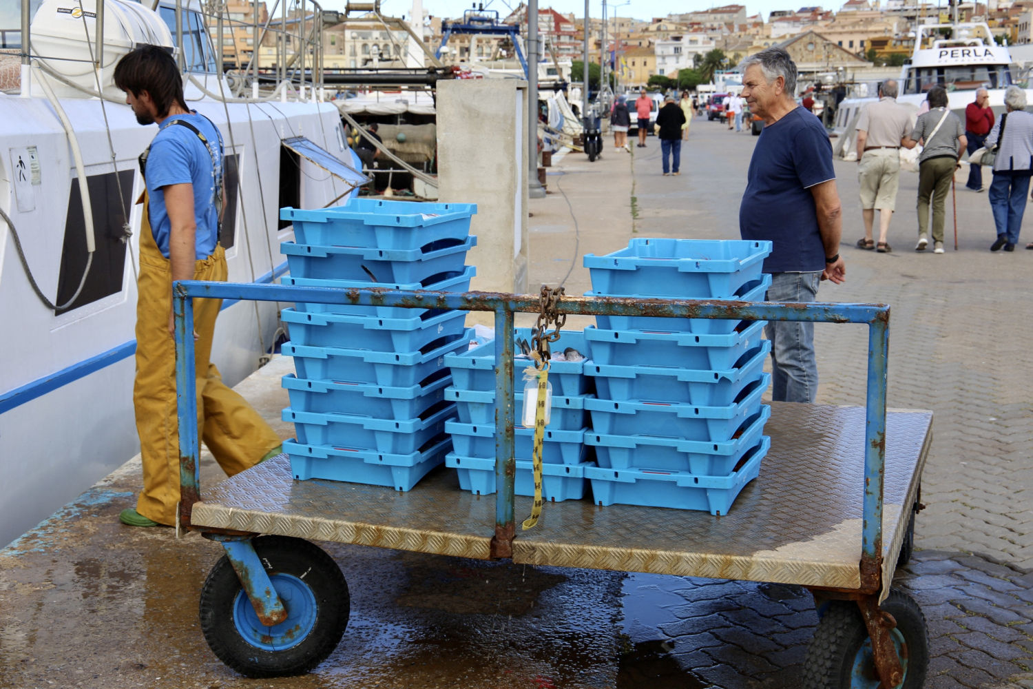 Descargando las gambas.