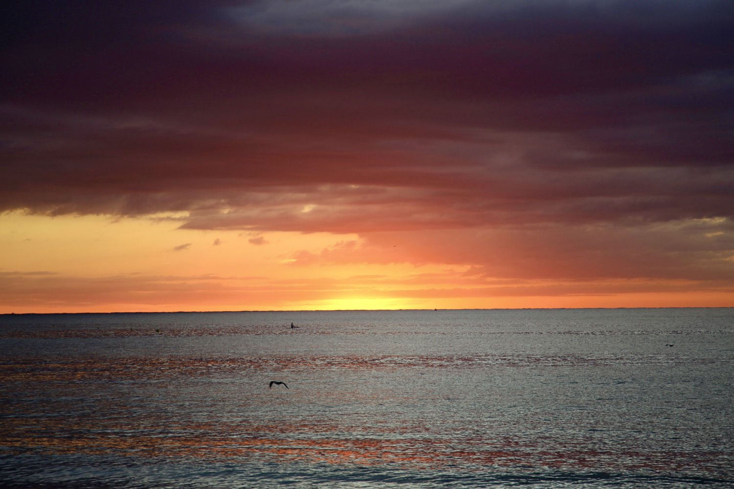 El sol escondido de Palamós.