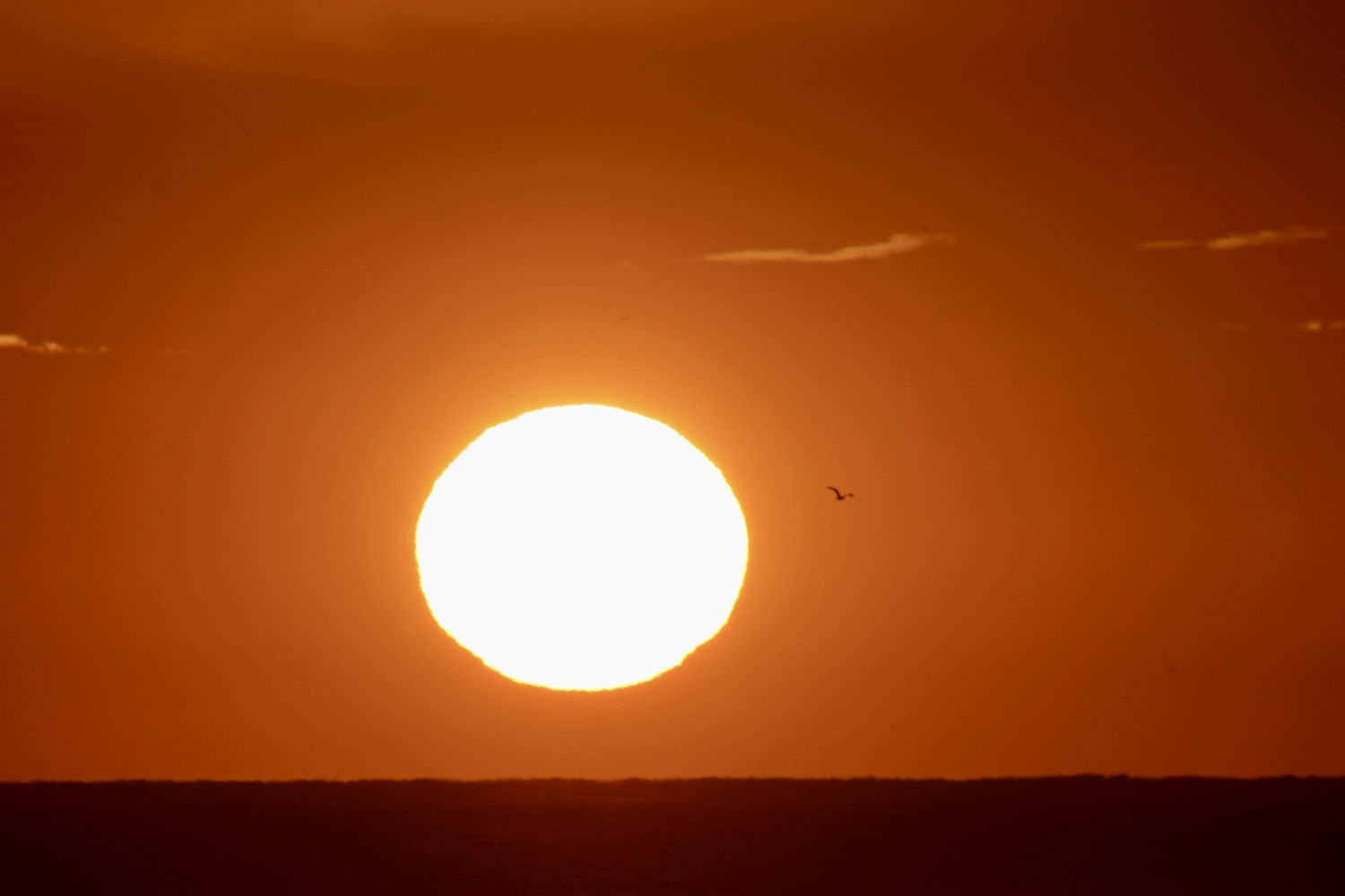 El sol de otoño de Calella de Palafrugell.
