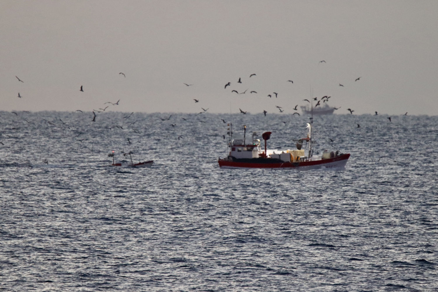 Pesquero en las Illes Formigues.