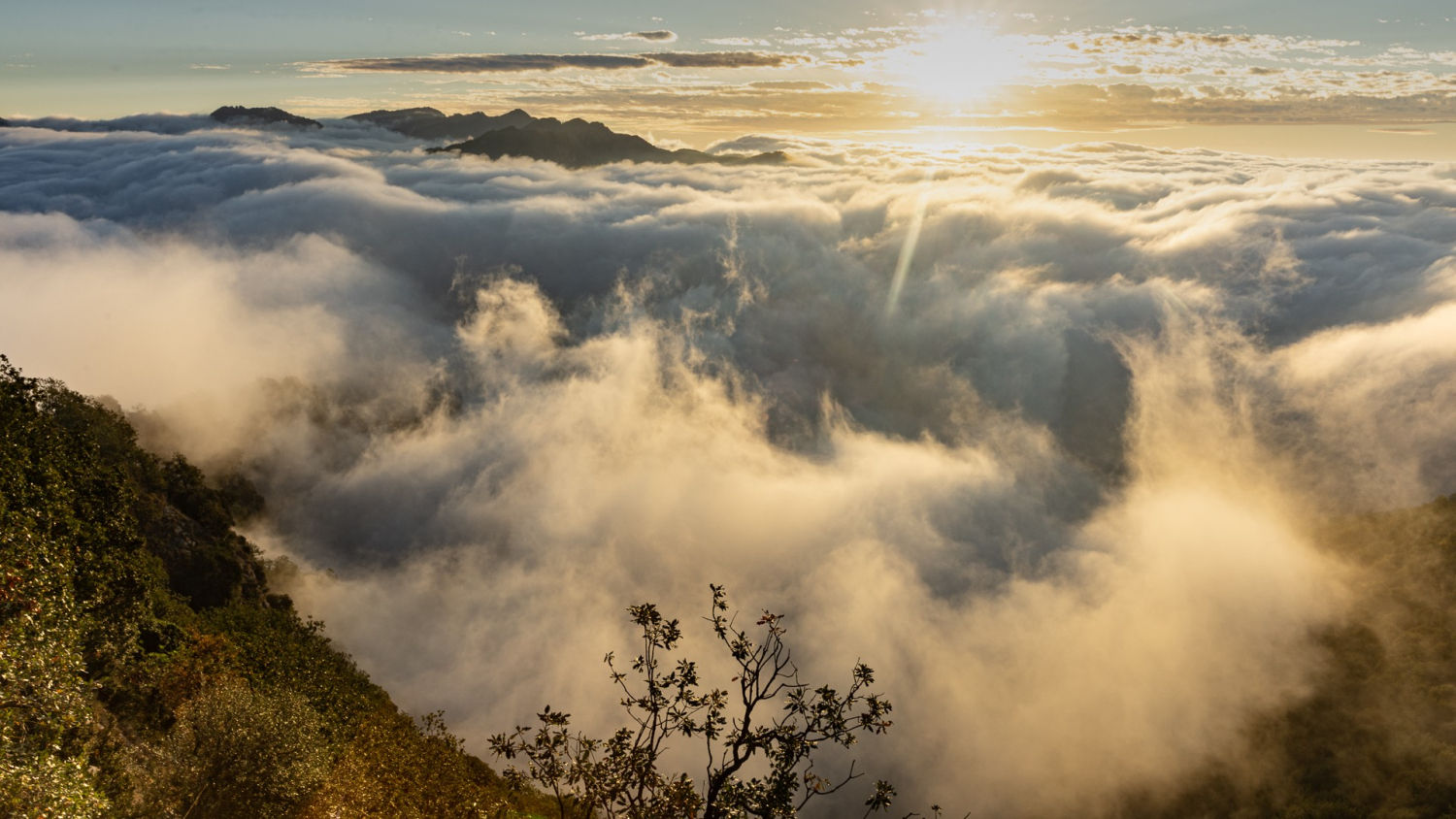 Alabada en el Balcó de la Plana.
