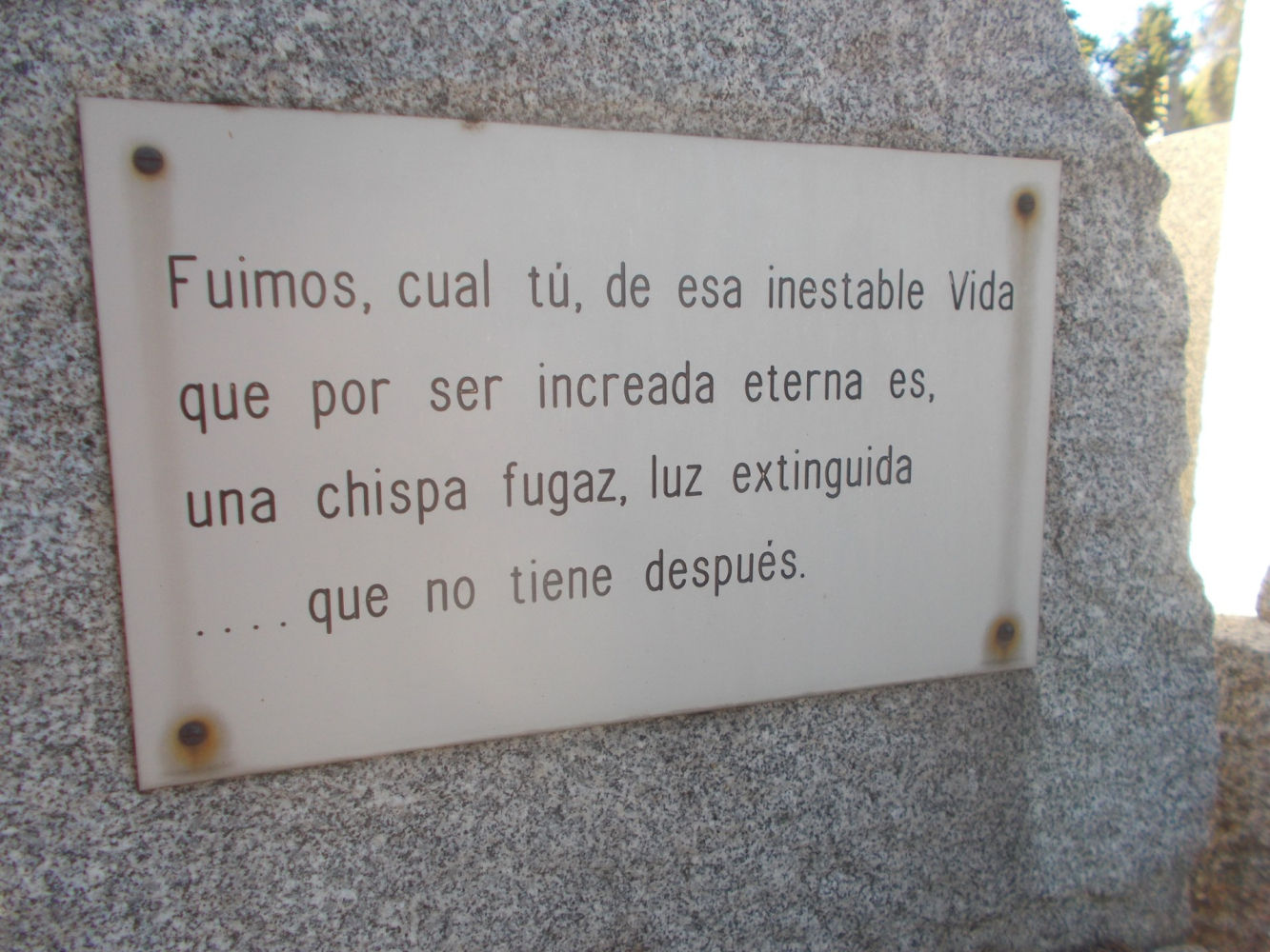 Definición de la vida.