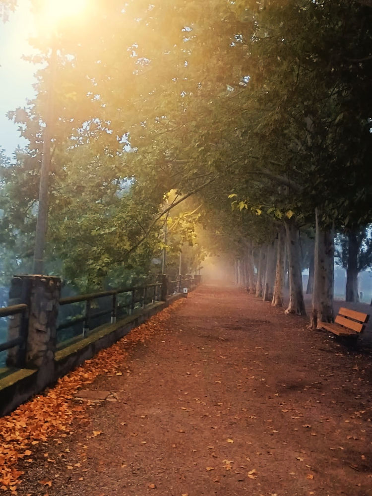 Otoño en el camino del Vora Ter.