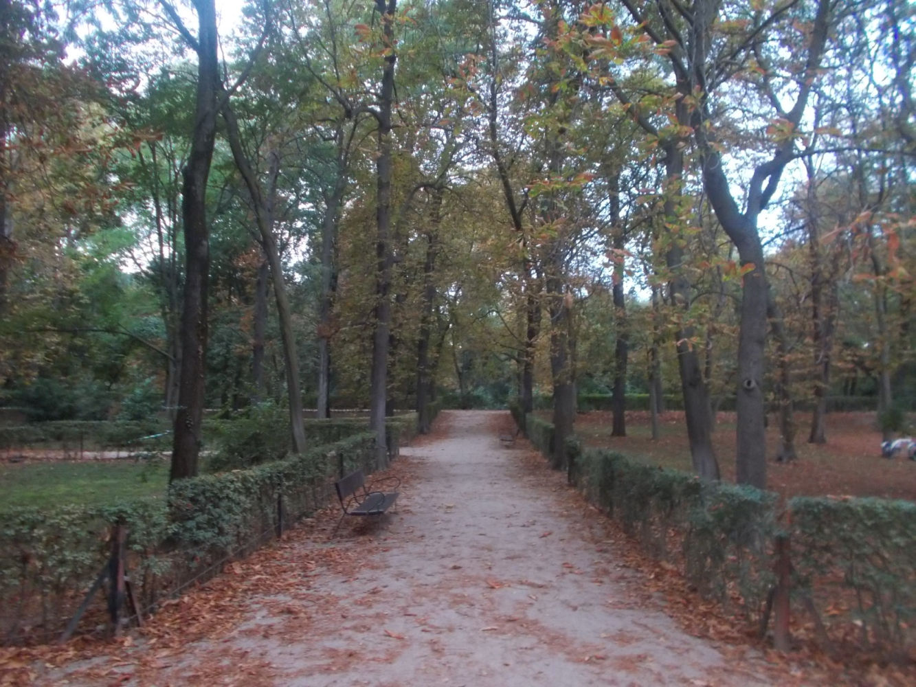 Paisaje otoñal en El Retiro.