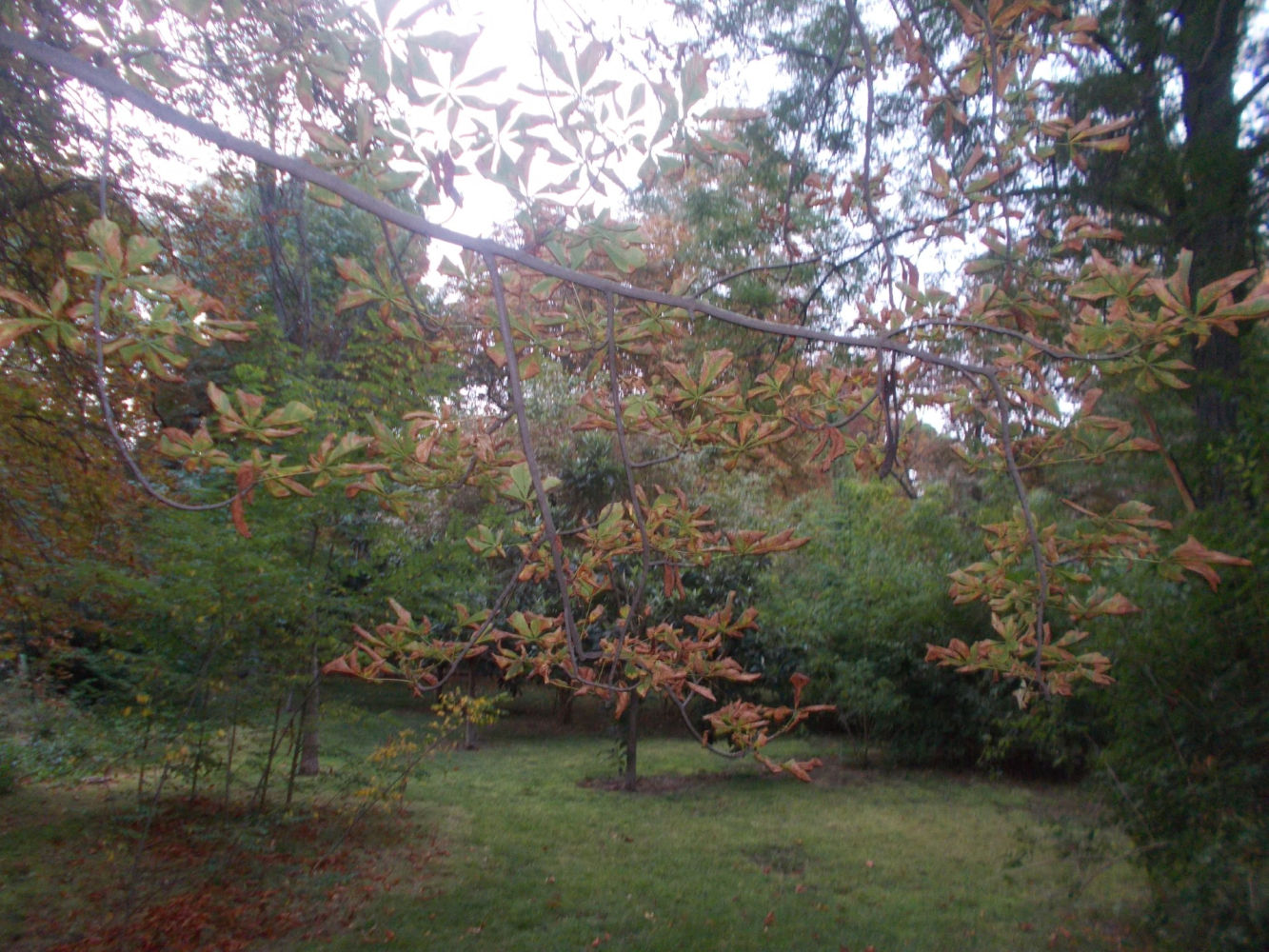 Colores otoñales en El Retiro.