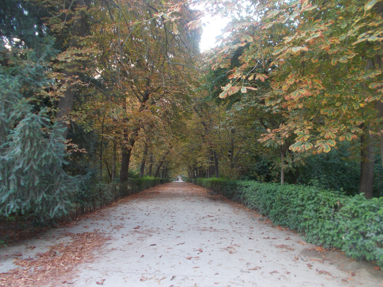Paseo otoñal por El Retiro.
