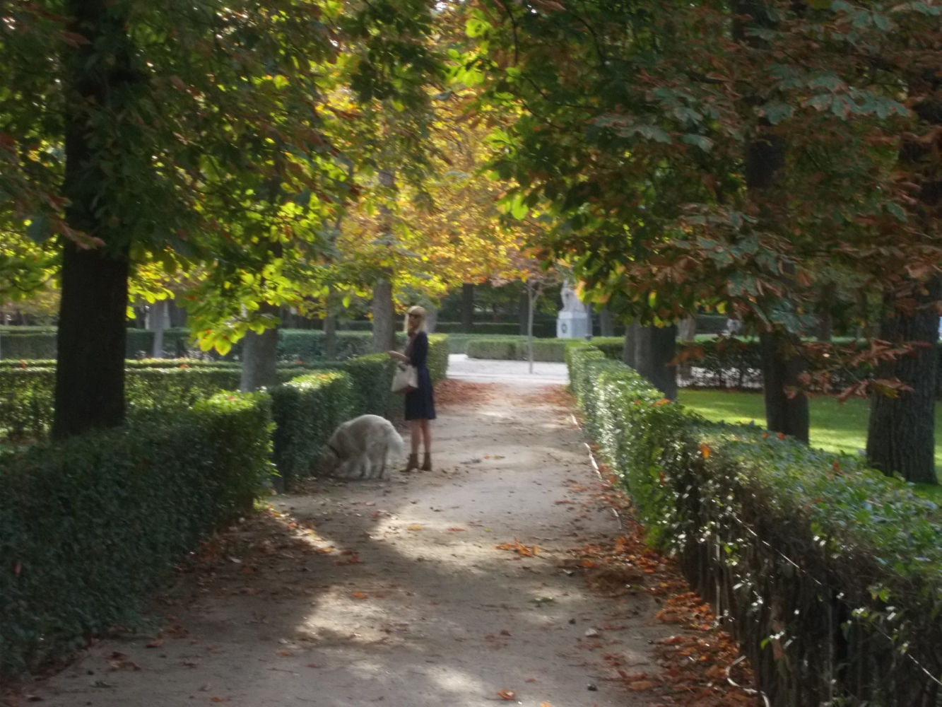 Paseando al perro en El Retiro.