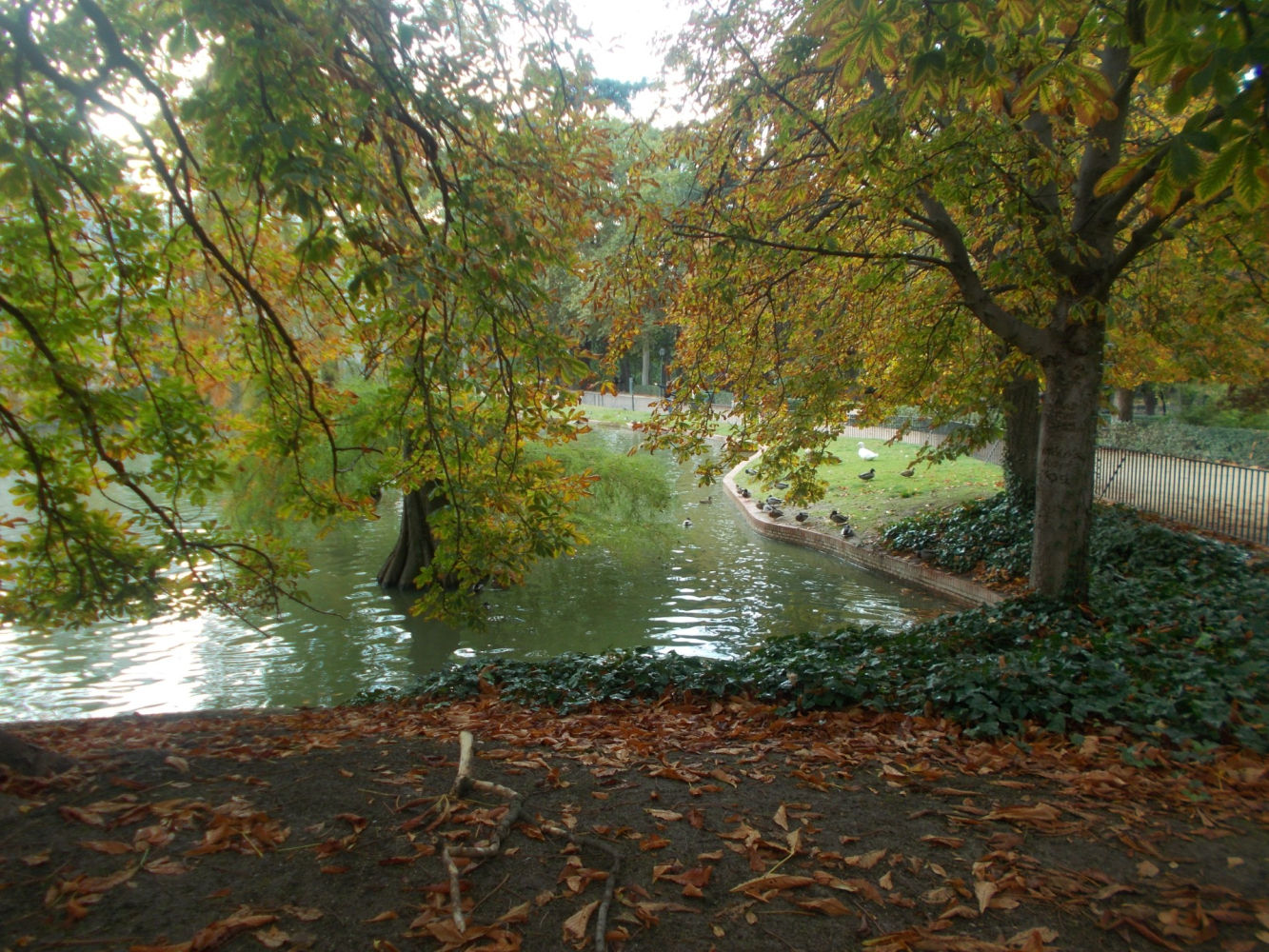 Otoño en El Retiro.