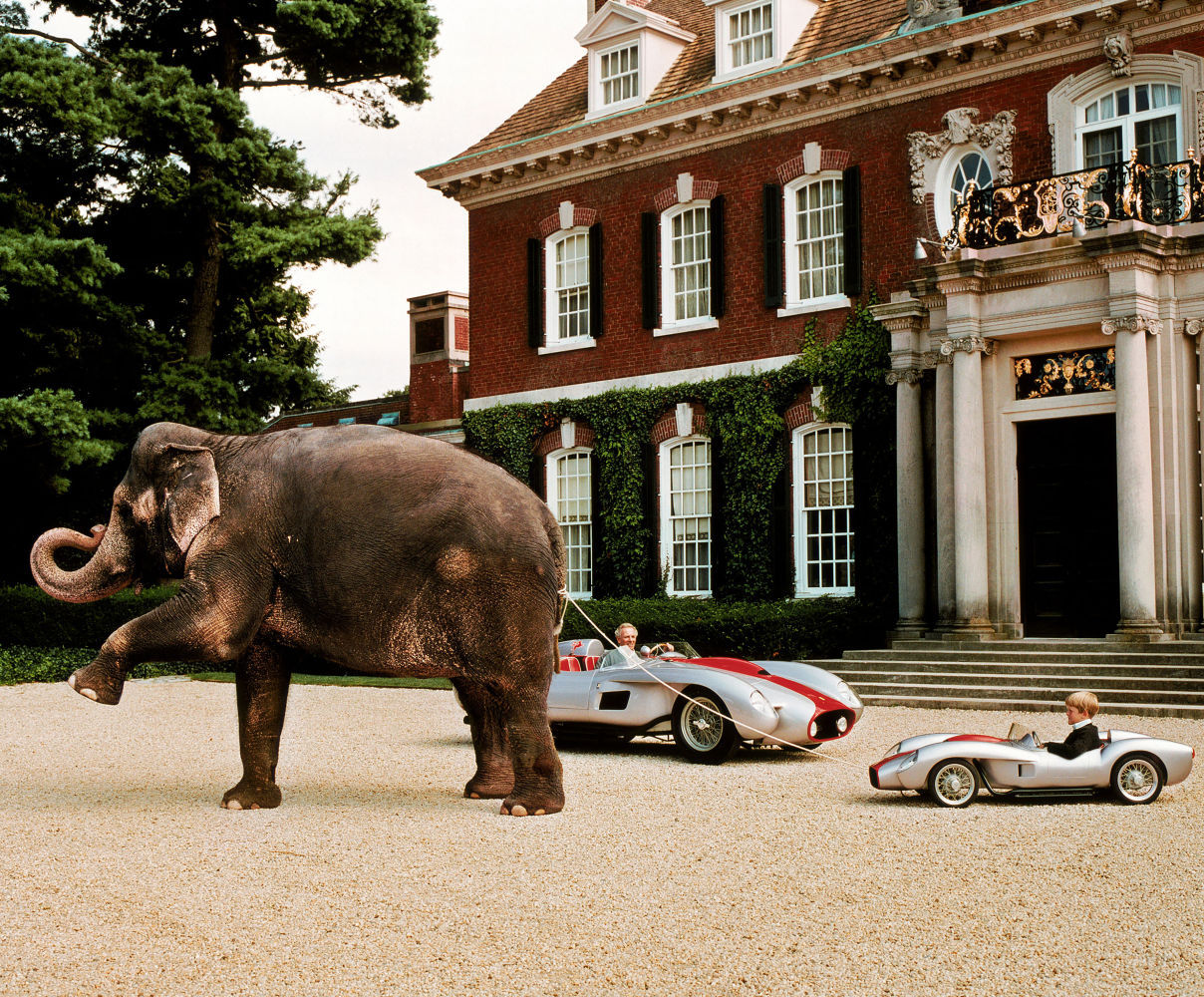 Mark Shands, Westbury Gardens, 2003