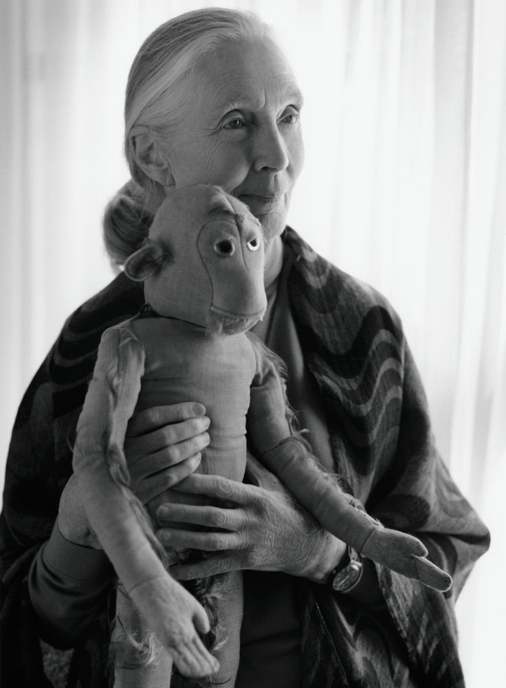 Jane Goodall, Nueva York, 2011