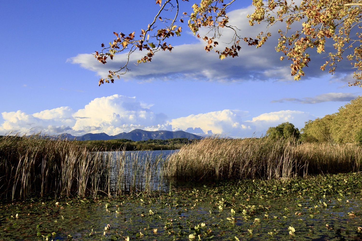 Paisaje otoñal en el lago de Banyoles.