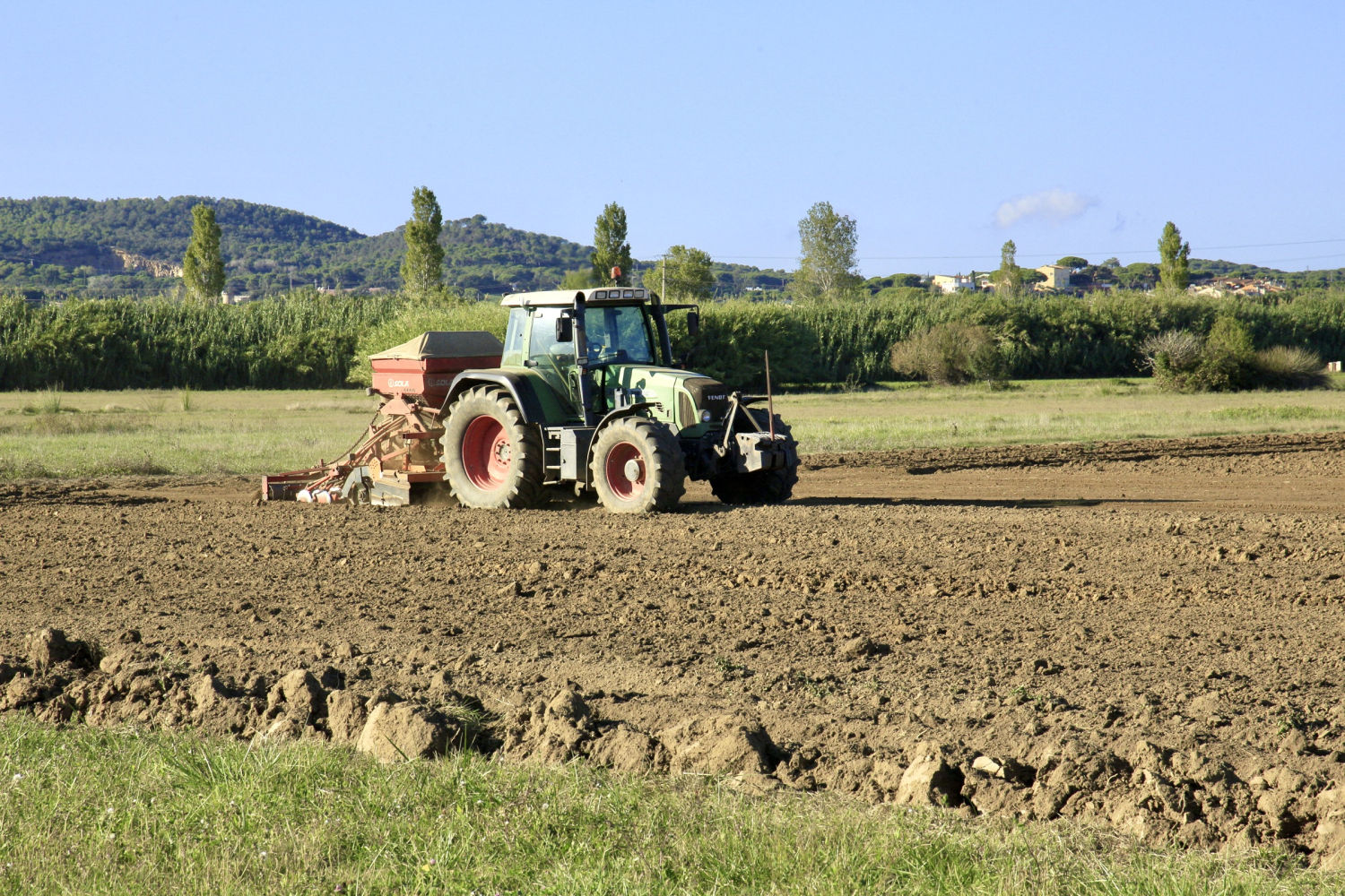 Trabajos de sembrado de la colza en Palafrugell.