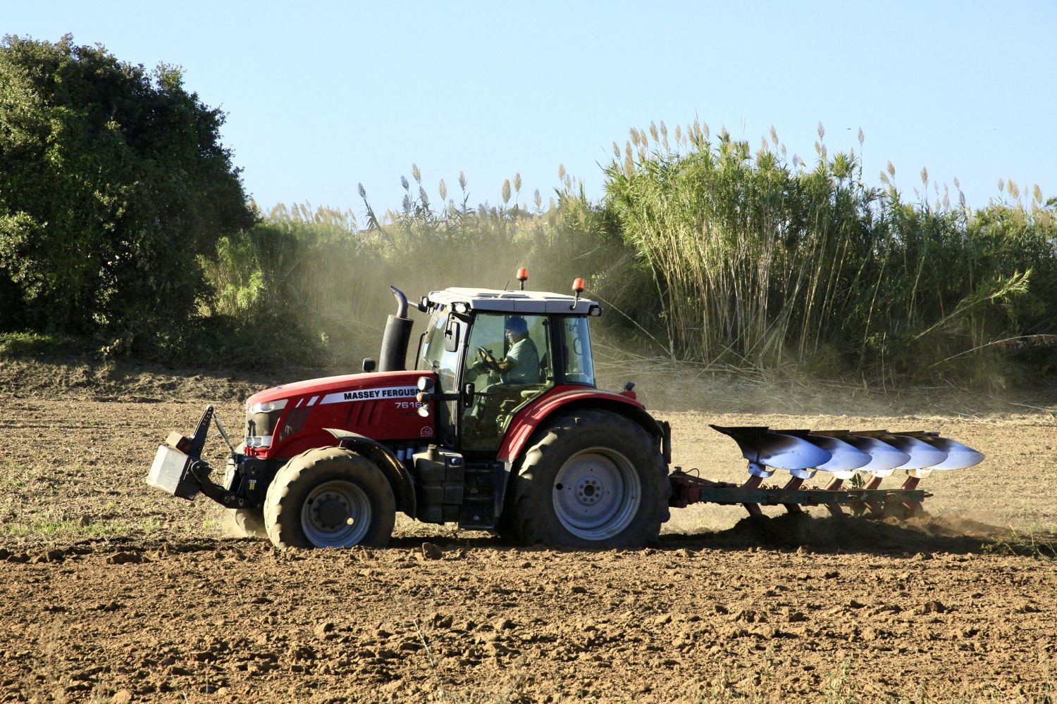 Siembra de la colza en un campo de Palafrugell.