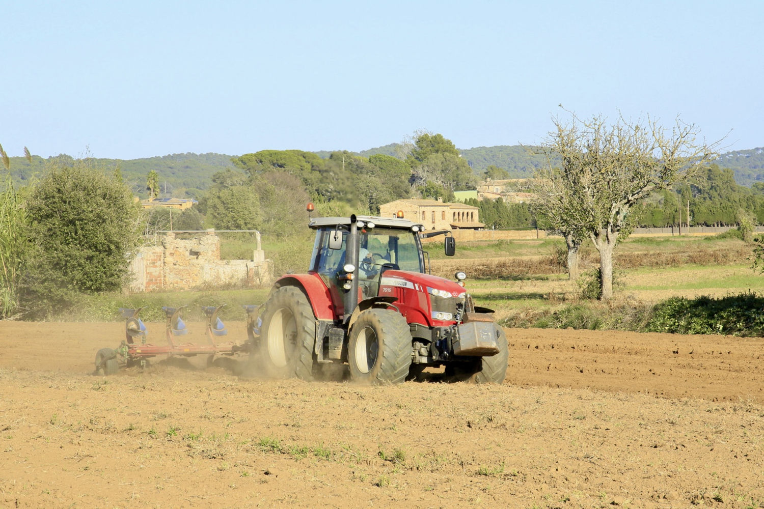 Trabajos de siembra de la colza con el tractor en Palafrugell.
