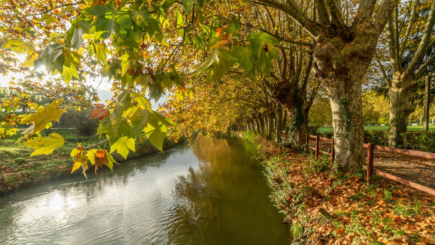 Paseo otoñal junto al río en Orís.