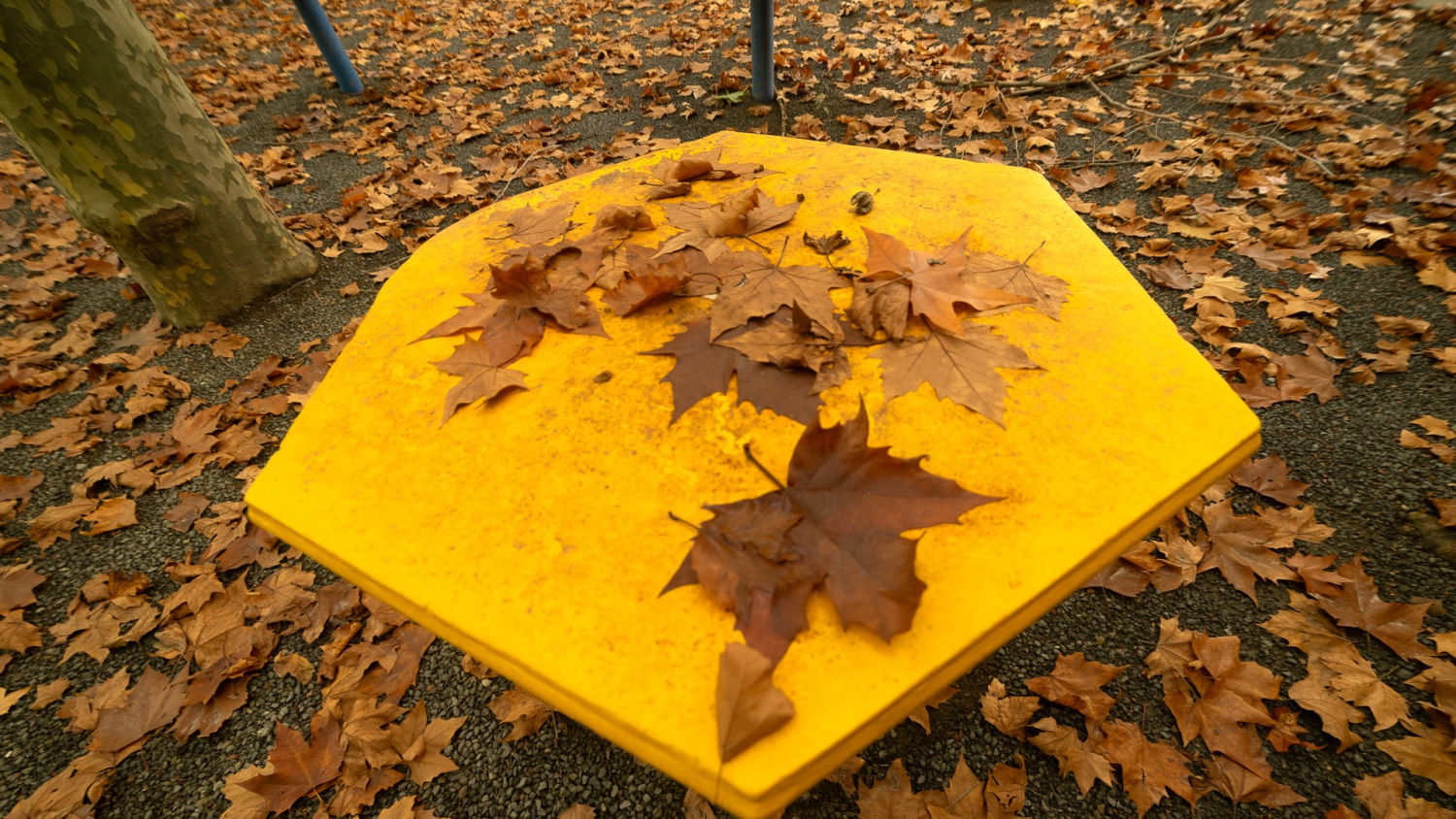 Hojas secas otoñales en Orís.