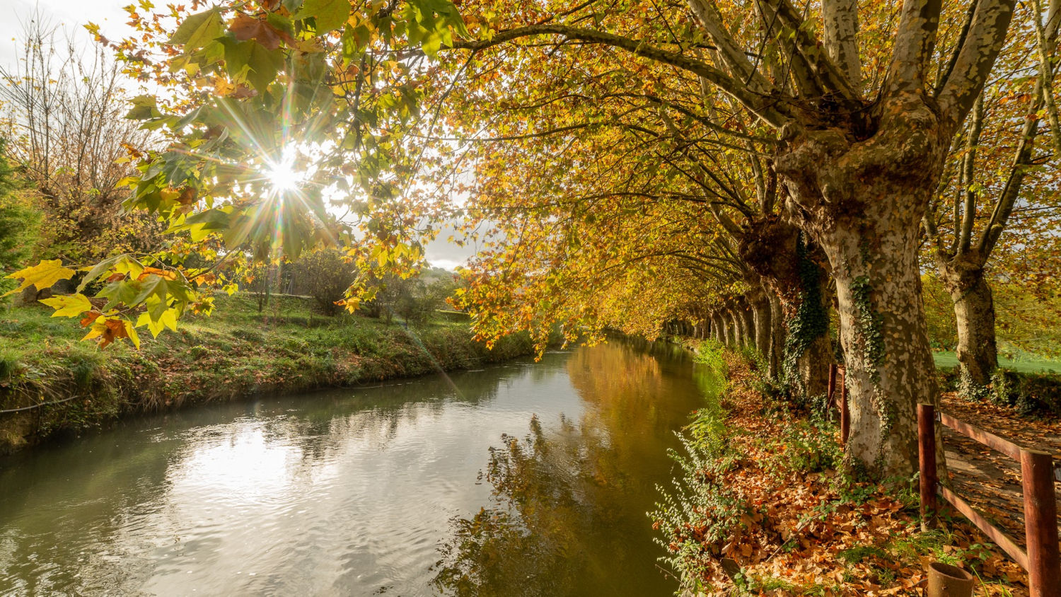 Paisaje otoñal de Orís.