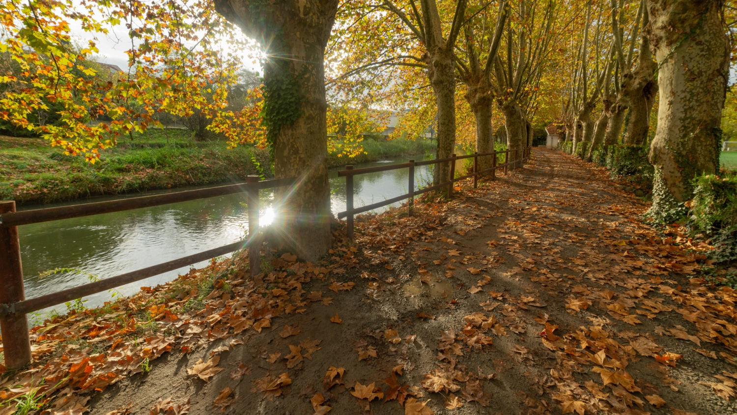Alfombra otoñal en Orís.