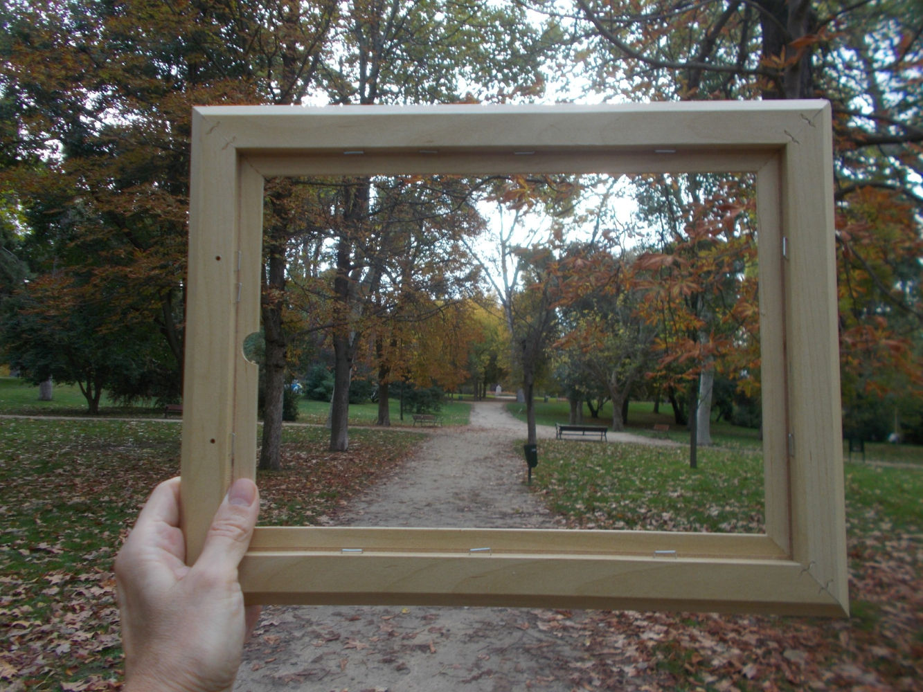 Otoño en El Retiro para enmarcar.