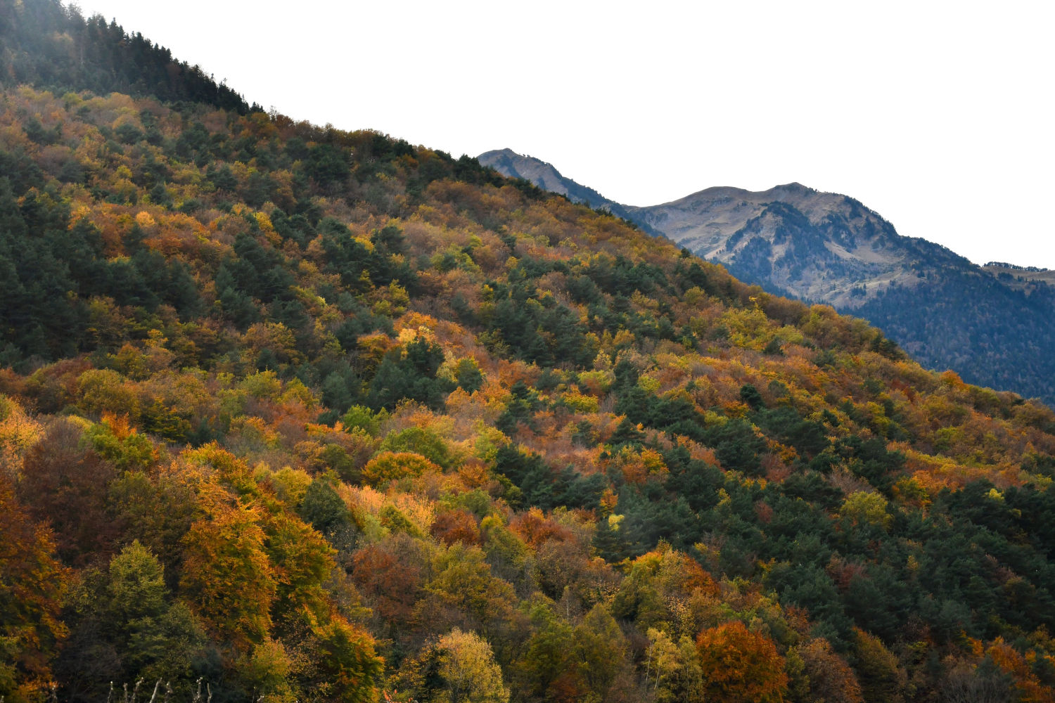 Paisaje otoñal en la Vall d'Aran.