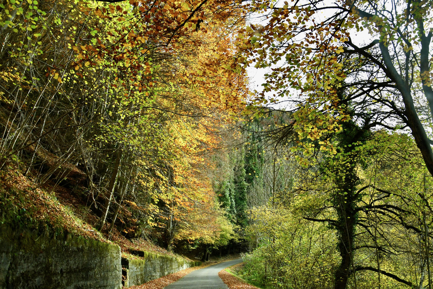 Bello camino de otoño en la Vall d'Aran.