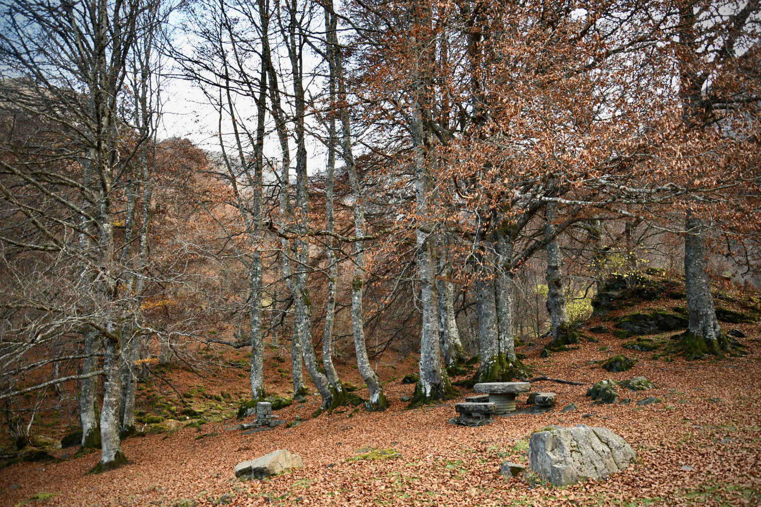 Otoño en la Vall d'Aran.